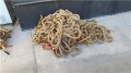 ropes-w-pulleys-sold-individually-small-1