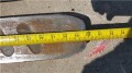 class-2-5-forks-small-3