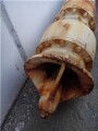 us-motors-dt93-high-thrust-hollow-vertical-motor-small-4