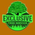 affordable-tree-removal-service-free-estimates-small-0