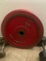 hampton-steel-bumper-plates-small-0