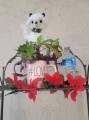 rae-dunn-love-mug-with-organic-well-rooted-succulents-small-4
