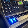 88-of-100-moog-minimoog-voyager-aluminum-edition-small-16