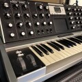 88-of-100-moog-minimoog-voyager-aluminum-edition-small-6