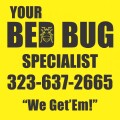 got-bug-problems-small-2