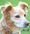 le-giant-photography-photographer-free-or-near-zero-prices-small-0