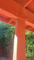 car-port-wood-small-0