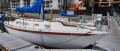 now-5800-1979-ericson-small-0