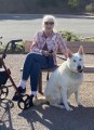 caretaker-housesitter-property-manager-etc-available-small-2