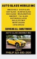 car-door-glass-small-0