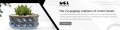 unlimited-containers-small-2
