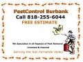 quick-reliable-pest-control-call-today-small-0