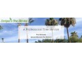 enriques-tree-service-small-0