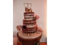 beautiful-cakes-for-all-occasions-small-9
