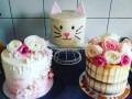 beautiful-cakes-for-all-occasions-small-4