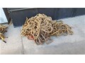 ropes-w-pulleys-sold-individually-small-1