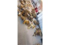 ropes-w-pulleys-sold-individually-small-0