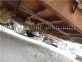office-trailer-small-1
