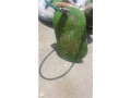 wire-rope-bridle-sling-3-leg-small-2
