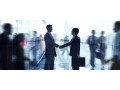 business-partner-wanted-small-0