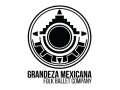 grandeza-mexicana-folk-ballet-company-seeking-dancers-small-0