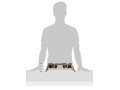 loving-pets-rustic-bone-diner-for-dogs-aged-copper-bowl-small-2