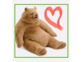 weight-loss-surgery-for-my-stuffed-bear-small-0