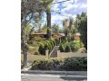 house-for-sale-way-below-market-value-4-quick-sale-small-0
