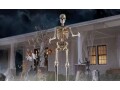 12-foot-skeleton-small-7