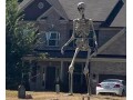 12-foot-skeleton-small-1