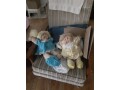 classic-cabbage-patch-dolls-small-0