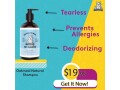 care4buddy-pet-oatmeal-antiitch-shampoo-for-sensitive-skin-small-0