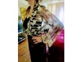 apt-sale-daily-clothes-jewelry-electronics-etc-small-3