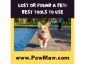 missing-pet-missing-dog-cat-notify-your-neighbors-small-0