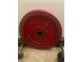 hampton-steel-bumper-plates-small-0