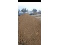 clean-dirt-with-delivery-small-2