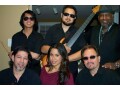 latin-dance-band-for-hire-small-1