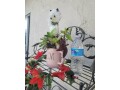 rae-dunn-love-mug-with-organic-well-rooted-succulents-small-1