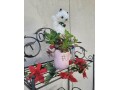 rae-dunn-love-mug-with-organic-well-rooted-succulents-small-0