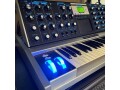88-of-100-moog-minimoog-voyager-aluminum-edition-small-16