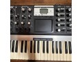88-of-100-moog-minimoog-voyager-aluminum-edition-small-15