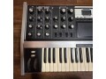 88-of-100-moog-minimoog-voyager-aluminum-edition-small-11