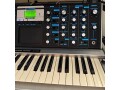88-of-100-moog-minimoog-voyager-aluminum-edition-small-8