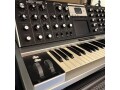88-of-100-moog-minimoog-voyager-aluminum-edition-small-6