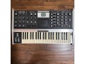88-of-100-moog-minimoog-voyager-aluminum-edition-small-4