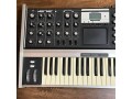88-of-100-moog-minimoog-voyager-aluminum-edition-small-1