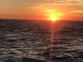 sailing-cruisecharter-from-the-cabrillo-beach-area-small-4