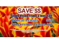 vision-4-less-eyeglasses-lenses-small-4