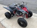 yamaha-raptor-250-small-7
