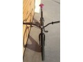 specialized-pfix-fizik-thomson-odyssey-small-4